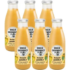 bracia-sadownicy-lemoniada-letnie-jablko-z-cytryna-i-mirabelka-750-ml-x-6