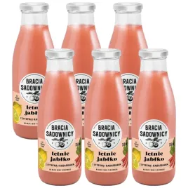 bracia-sadownicy-lemoniada-letnie-jablko-z-cytryna-i-rabarbarem-750-ml-x-6