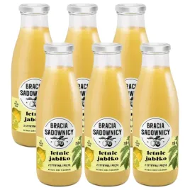 bracia-sadownicy-lemoniada-letnie-jablko-z-cytryna-i-mieta-750-ml-x-6-sztuk