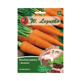 marchew-marchewka-amsterdam-nasiona-marchewki-na-tasmie-5m-wczesna