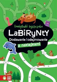 lamiglowki-bystrzaka-labirynty-dodawanie-i-zuzanna-osuchowska