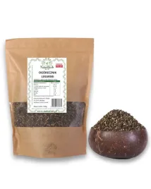 ogorecznik-lekarski-nasiona-miododajne-do-siewu-polskie-1kg-naturini