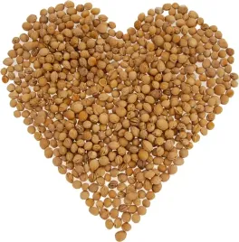 pestki-wisni-naturalny-wklad-do-termoforow-1kg