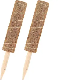 ramy-wspinaczkowe-delaman-roslina-pnaca-kij-kokosowy-z-mchu-40-cm