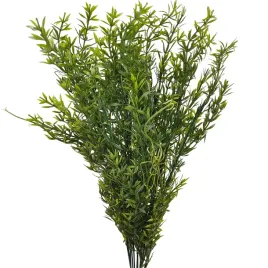 dodatek-wypelniacz-asparagus-12-szt-z778-sp