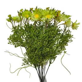 dodatek-margaretka-12-szt-zielony-sp
