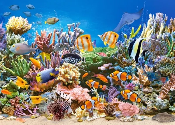 puzzle-260-elementow-kolory-oceanu-stan-nowy