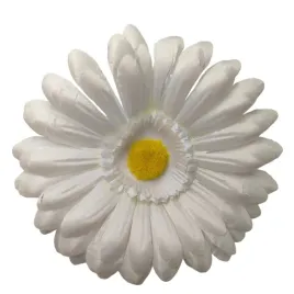 gerbera-wyr-kremowa-24-szt-sp