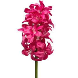 hiacynt-poj-rozowy-lodyga-guma-sp