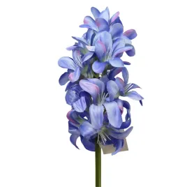 hiacynt-poj-niebieski-lodyga-guma-sp