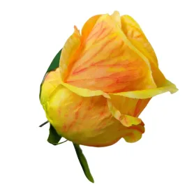 roza-3d-wyr-12-szt-zolta-sp