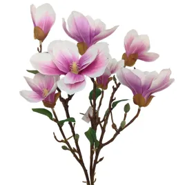 bukiet-magnolii-gumowany-bialo-fioletowy-sp