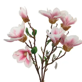 bukiet-magnolii-bialy-rozowy-srodek-sp