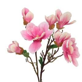 bukiet-magnolii-gumowany-rozowy-sp
