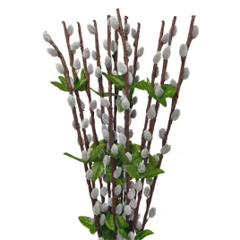 bazie-flokowane-12-szt-naturalne-szare-sp