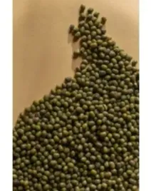fasola-mung-1kg-zielona-naturalna-wysoka-jakosc-do-dan-azjatyckich