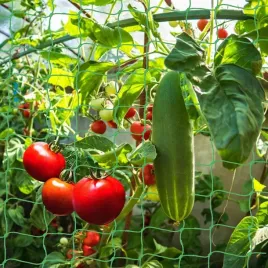 siatka-na-rosliny-18-x-36-m-siatka-podporowa-do-ogrodu-do-szklarni