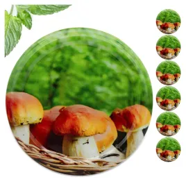 zakretki-50szt-wieczka-66-4-nakretki-grzyby-g-02-nakretka-wieczko-na-sloik