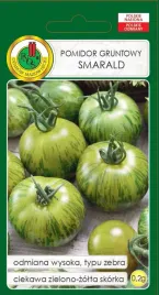 pomidor-gruntowy-zielony-smarald-02-g-pnos