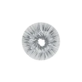 patera-na-przekaski-owoce-anemone-szara-koziol