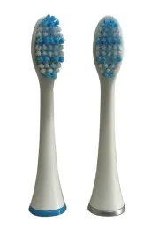 szczoteczki-do-dts701-dts601-blaupunkt-acc024