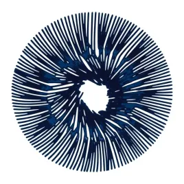 patera-na-owoce-przekaski-anemone-granat-koziol