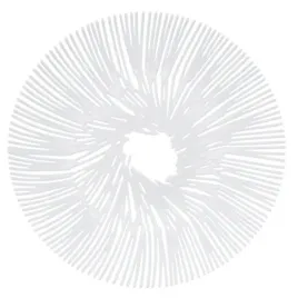 patera-na-owoce-przekaski-anemone-biala-koziol