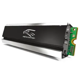 radiator-dysku-ssd-m2-2280-snowman