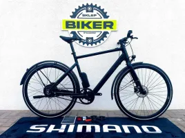 nowy-elektryczny-rabeneick-tx-e-28-rama-55cm-bafang-napedowy-pas-gates