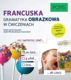 gramatyka-obrazkowa-w-cwiczeniach-francuski-pons