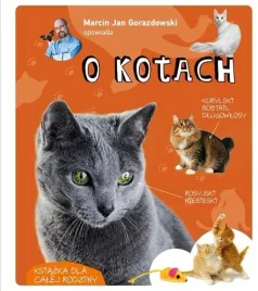marcin-jan-gorazdowski-opowiada-o-kotach-marcin-jan-gorazdowski
