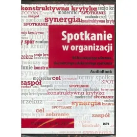 spotkanie-w-organizacji-audiobook-marek-staczek