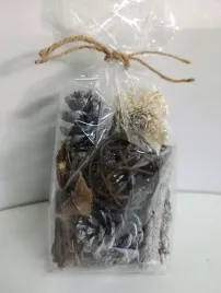 susz-dekoracyjny-jesien