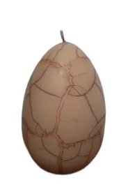 swieca-jajko-80-130mm-pekajace-or-j80130op