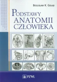 podstawy-anatomii-czlowieka-podr-dla-studentow-boguslaw-golab