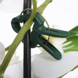 klipsy-do-roslin-20-szt-liczba-sztuk-0-szt