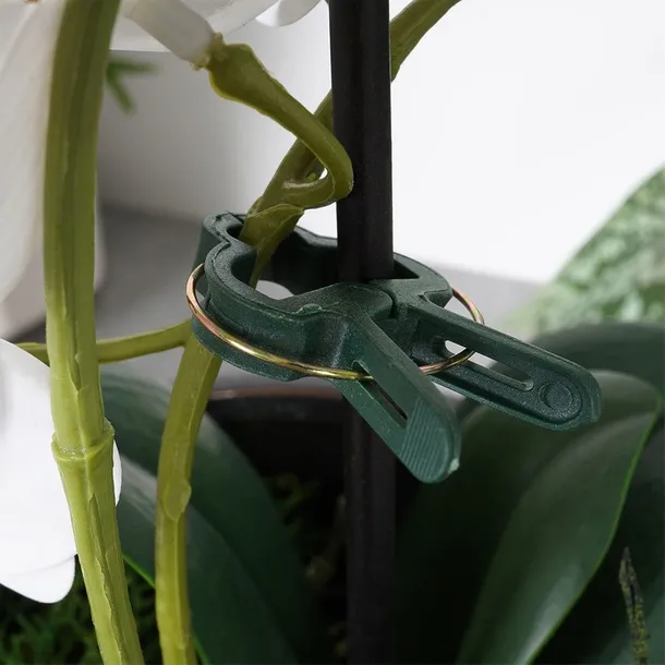 klipsy-do-roslin-20-szt-marka-bez-marki