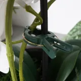 klipsy-do-roslin-20-szt-marka-bez-marki