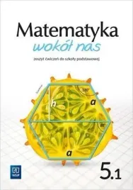 matematyka-wokol-nas-sp-5-1-cw-wsip
