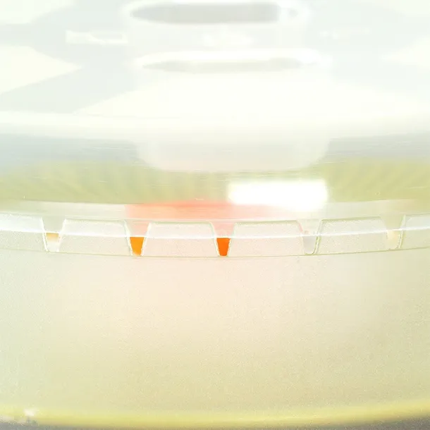 pokrywka-do-mikrofali-26-cm-stan-nowy-kod-producenta-0001