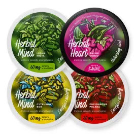 woreczki-energetyczne-herbalmind-i-herbalheart-starter-4-smaki-snusy