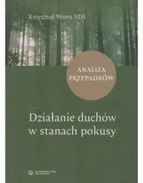 dzialanie-duchow-w-stanach-pokusy-analiza-krzysztof-wons