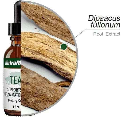 teasel-oset-nutramedix-30ml-stan-nowy