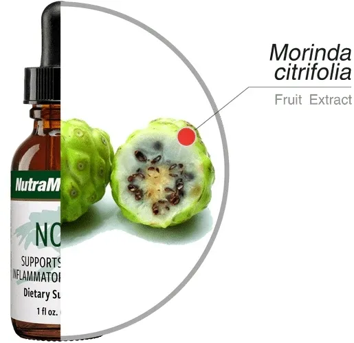 noni-30ml-nutramedix-ochrona-mikrobiologiczna-stan-nowy