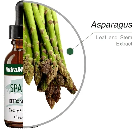 sparga-sulphur-detox-nutramedix-30ml-stan-nowy