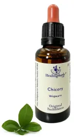 esencja-dr-bacha-8-chicory-cykoria-podroznik-30ml