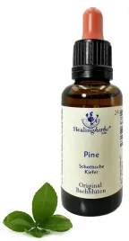 esencja-dr-bacha-24-pine-sosna-30ml