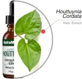 houttuynia-microbial-defence-nutramedix-30ml-stan-nowy