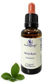 esencja-dr-bacha-nr-37-wild-rose-dzika-roza-30-ml