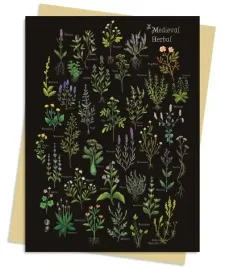 karnet-b6-sredniowieczny-zielnik